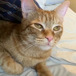 Meet your Posher, Catherine